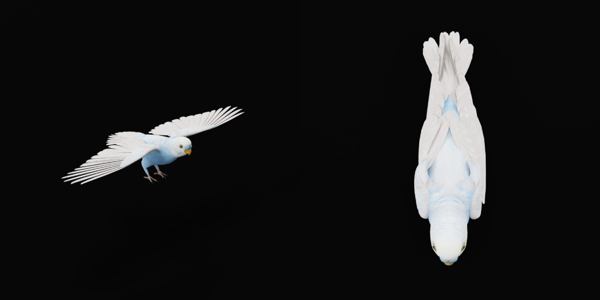 Budgie Parakeet Parrot model https://p.turbosquid.com/ts-thumb/BZ/ySdAO9/4h/budgie34/png/1743721375/1920x1080/fit_q87/798714343b9f4fbc4b93351820bd481872ff8e59/budgie34.jpg