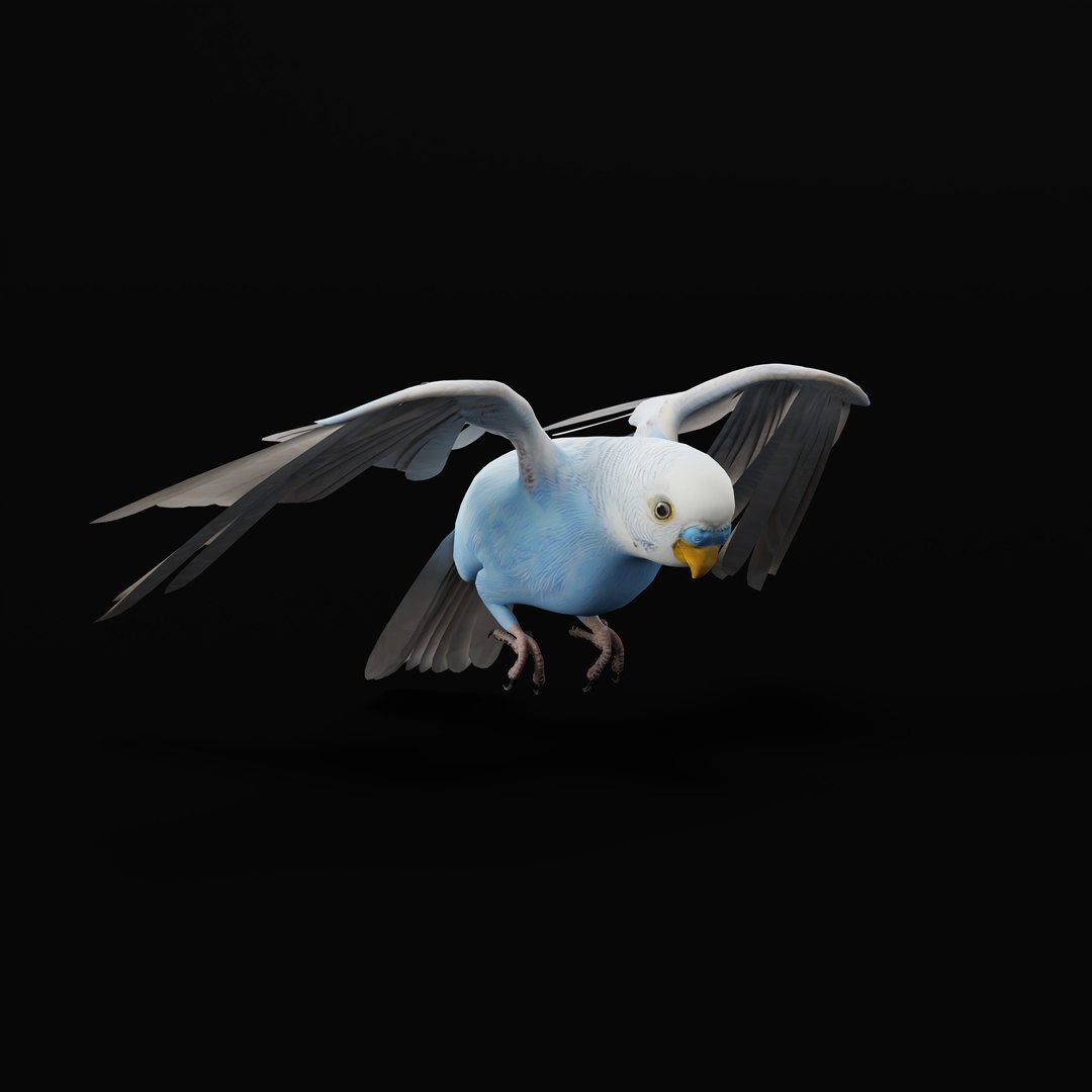 Budgie Parakeet Parrot model https://p.turbosquid.com/ts-thumb/BZ/ySdAO9/7t/budgieao_0013/jpg/1743721406/1920x1080/fit_q87/b131229cb1b6591804acf177f437e46b9dd982e9/budgieao_0013.jpg