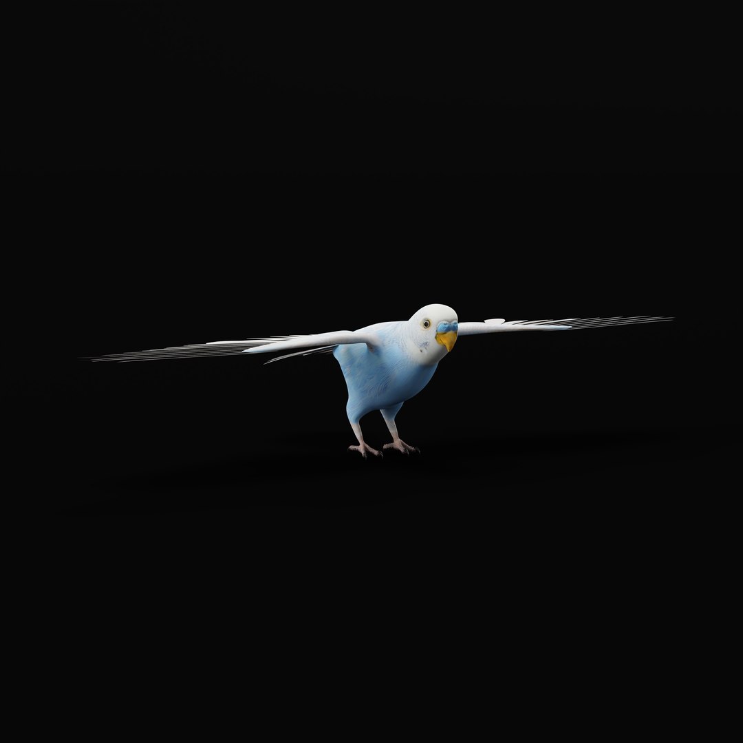 Budgie Parakeet Parrot model https://p.turbosquid.com/ts-thumb/BZ/ySdAO9/Gk/budgieao/jpg/1743721415/1920x1080/fit_q87/cd7e9c05ec942f4b78bddfe5d5c116a1315a7c85/budgieao.jpg