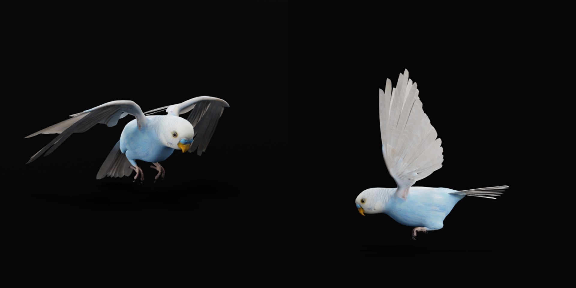 Budgie Parakeet Parrot model https://p.turbosquid.com/ts-thumb/BZ/ySdAO9/IY/budgie14/png/1743721390/1920x1080/fit_q87/c6cb88858e49d4d94aa6211e97e60417e2325561/budgie14.jpg