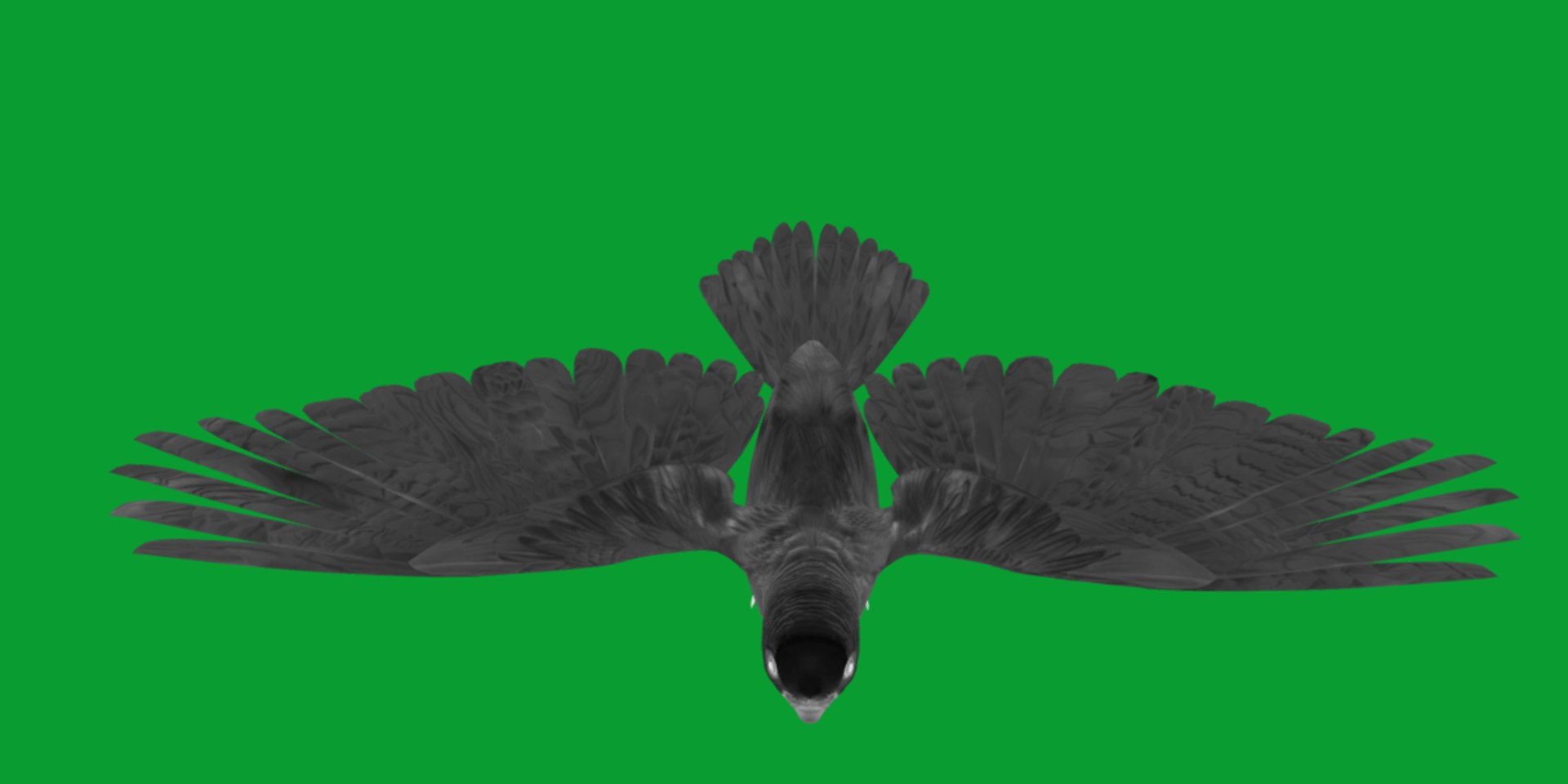 Budgie Parakeet Parrot model https://p.turbosquid.com/ts-thumb/BZ/ySdAO9/MA/budgie28/png/1743721369/1920x1080/fit_q87/0c07e5920c8ee7a24f5fe6e0dfb7a1728ac61969/budgie28.jpg