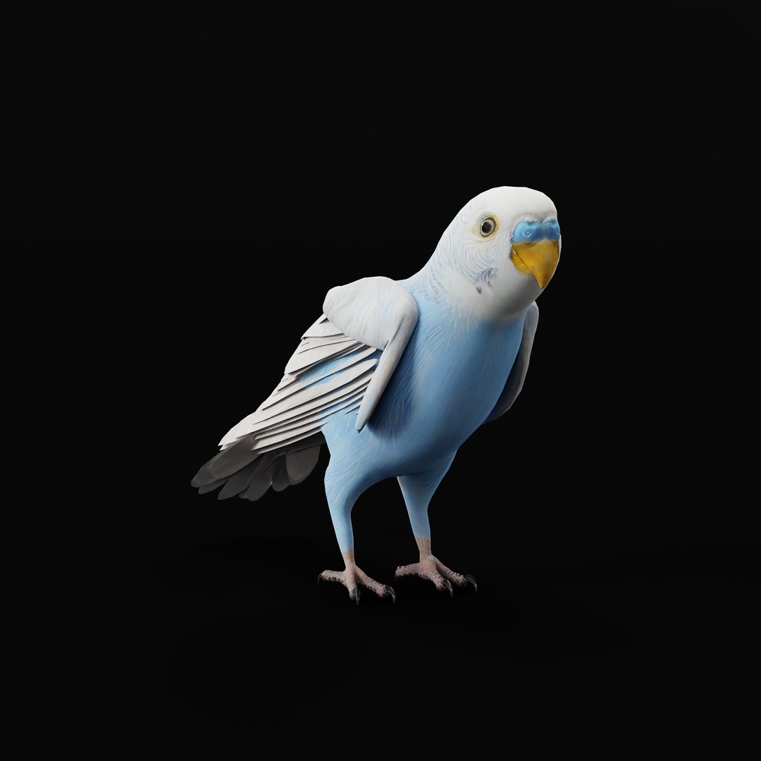 Budgie Parakeet Parrot model https://p.turbosquid.com/ts-thumb/BZ/ySdAO9/Px/budgieao_0007/jpg/1743721425/1920x1080/fit_q87/c45e377682d00e18124df961b73628beb3084eef/budgieao_0007.jpg