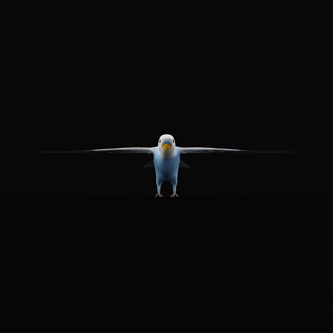 Budgie Parakeet Parrot model https://p.turbosquid.com/ts-thumb/BZ/ySdAO9/Qh/budgieao_0002/jpg/1743721417/1920x1080/fit_q87/8546891a632866548a3da208c92810d144f1c8fa/budgieao_0002.jpg