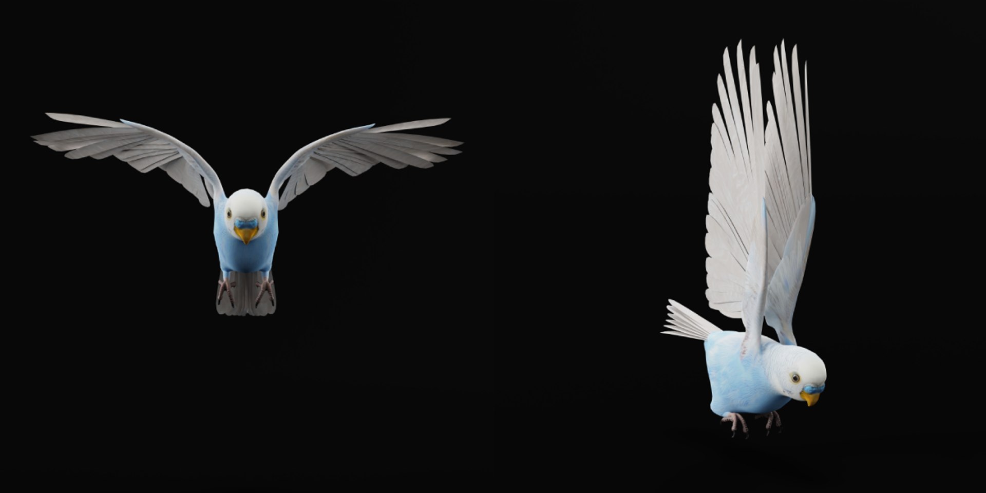 Budgie Parakeet Parrot model https://p.turbosquid.com/ts-thumb/BZ/ySdAO9/R5/budgie31/png/1743721371/1920x1080/fit_q87/2fb95915e6bdce0e517dbeea2a318fc5b48d4c6f/budgie31.jpg