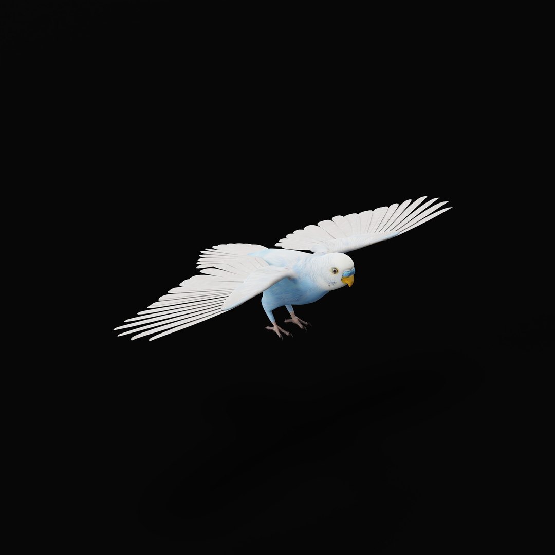 Budgie Parakeet Parrot model https://p.turbosquid.com/ts-thumb/BZ/ySdAO9/U7/budgieao_0003/jpg/1743721419/1920x1080/fit_q87/625fcef779c002ae7257b1deed3af3d44c5583f3/budgieao_0003.jpg