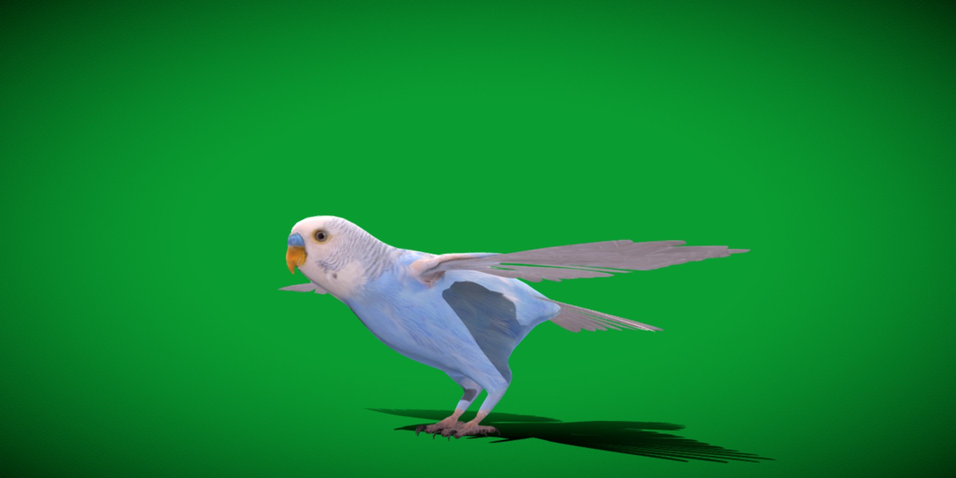 Budgie Parakeet Parrot model https://p.turbosquid.com/ts-thumb/BZ/ySdAO9/V3/budgie32/png/1743721373/1920x1080/fit_q87/687adf01ca5add0515684c4373b4a69e70a9d01b/budgie32.jpg