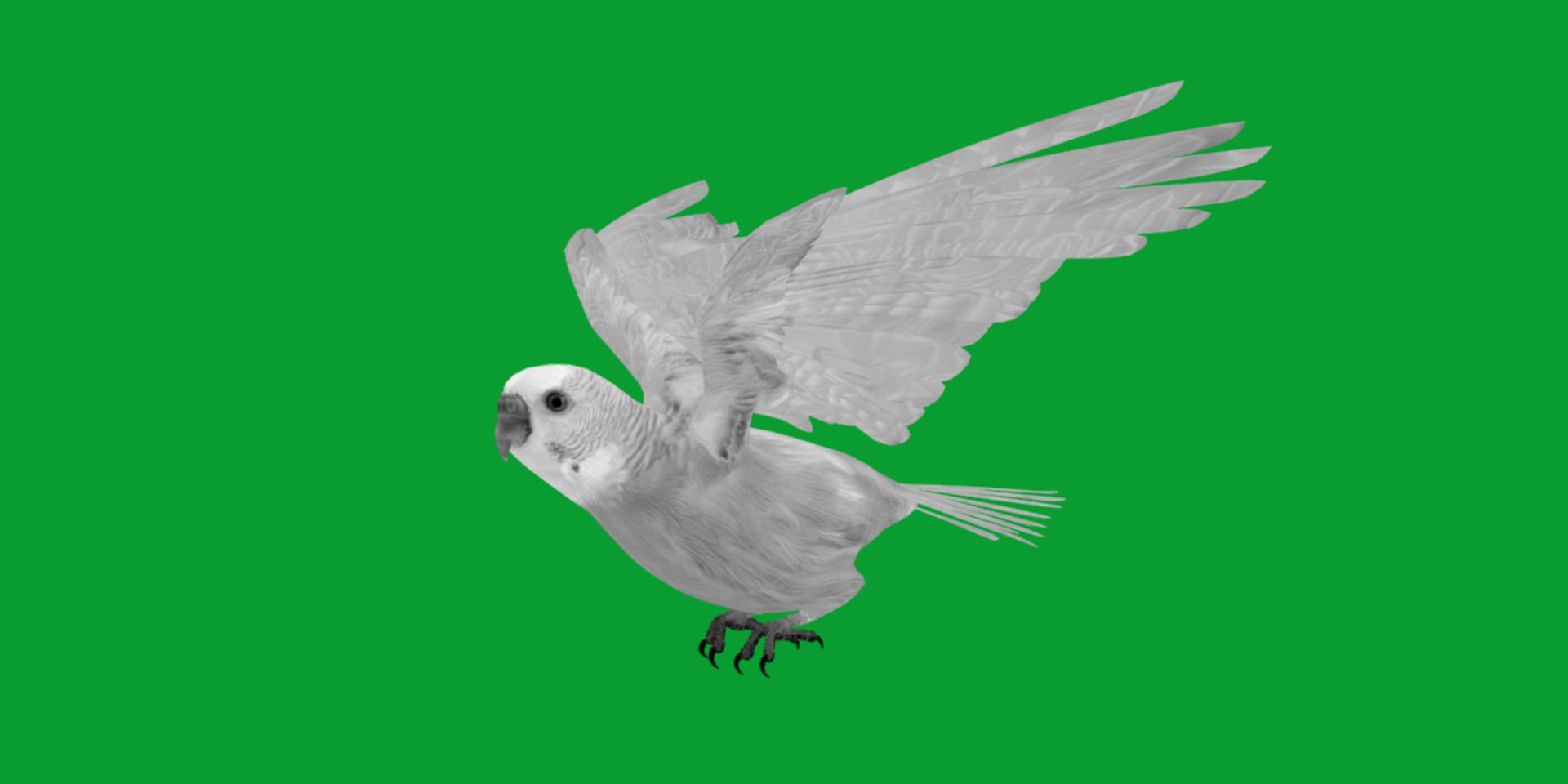 Budgie Parakeet Parrot model https://p.turbosquid.com/ts-thumb/BZ/ySdAO9/WQ/budgie15/png/1743721393/1920x1080/fit_q87/96ff270eba2623f46544fbedf6ce47756d5abfb8/budgie15.jpg