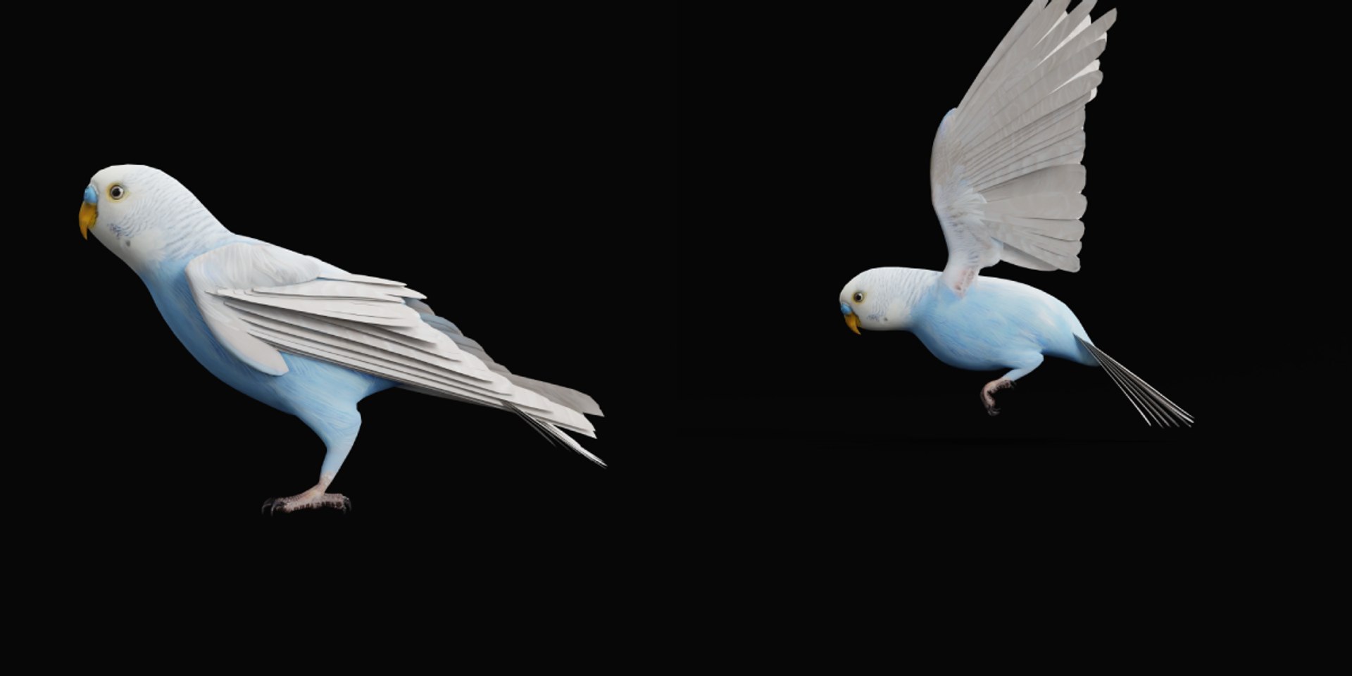 Budgie Parakeet Parrot model https://p.turbosquid.com/ts-thumb/BZ/ySdAO9/cw/budgie1/png/1743721377/1920x1080/fit_q87/2d8183c2ddf8d26c28c8c3c5d3e2ff719a4fb5ff/budgie1.jpg