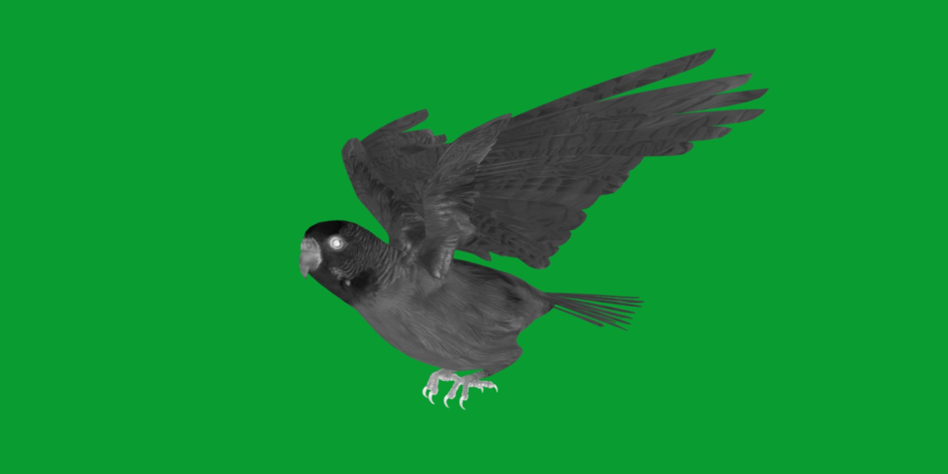 Budgie Parakeet Parrot model https://p.turbosquid.com/ts-thumb/BZ/ySdAO9/d0/budgie13/png/1743721388/1920x1080/fit_q87/bb5d4b2986468dfd544834e27aa40a51c8ec50c8/budgie13.jpg