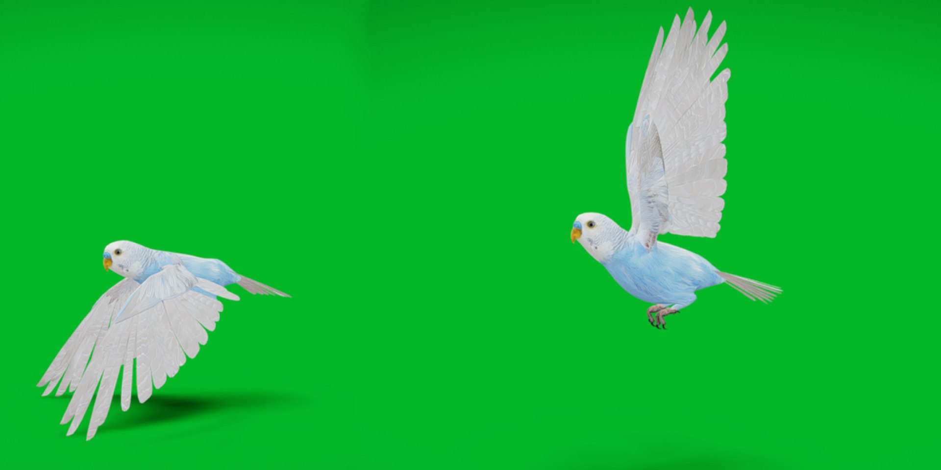 Budgie Parakeet Parrot model https://p.turbosquid.com/ts-thumb/BZ/ySdAO9/ga/budgie_birdcopy/png/1743721363/1920x1080/fit_q87/c543d7efa55254eb95a1cee41415ff2277a1a1a5/budgie_birdcopy.jpg