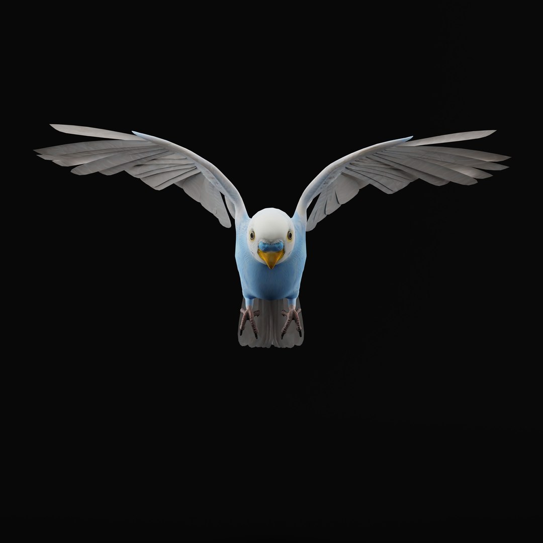 Budgie Parakeet Parrot model https://p.turbosquid.com/ts-thumb/BZ/ySdAO9/jh/budgieao_0011/jpg/1743721404/1920x1080/fit_q87/3386077f2543aca8b8961d7e6eea3a814e7bc81c/budgieao_0011.jpg