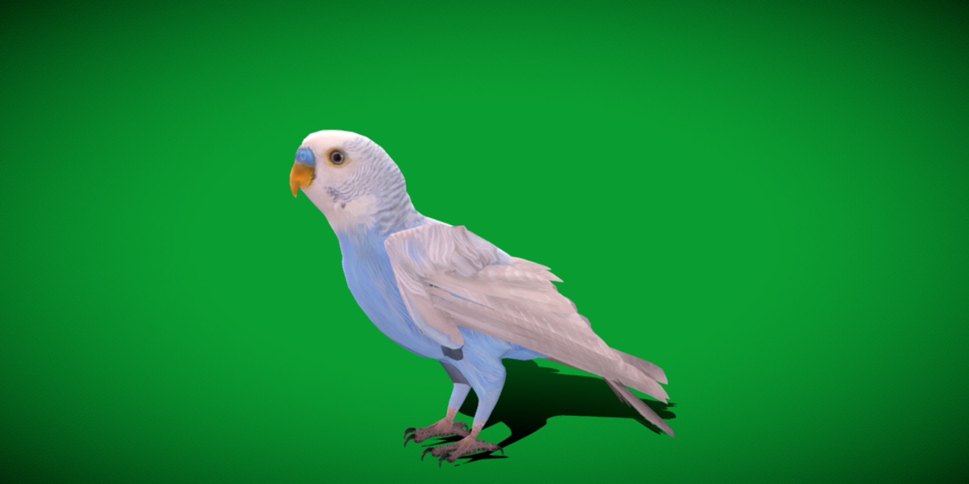 Budgie Parakeet Parrot model https://p.turbosquid.com/ts-thumb/BZ/ySdAO9/lH/budgie/png/1743721375/1920x1080/fit_q87/209050172f22402e6cd6e202a959e22aec305a0c/budgie.jpg