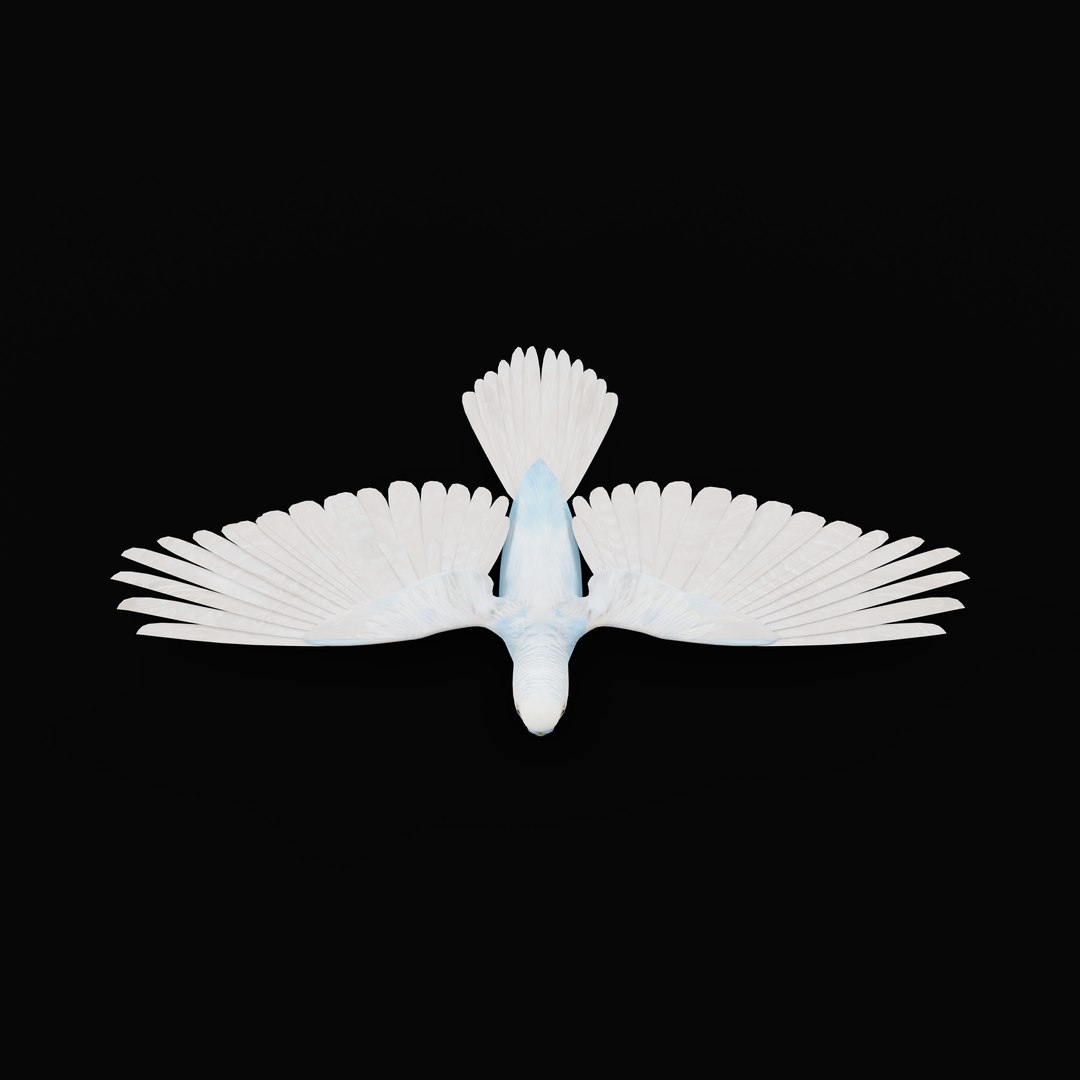 Budgie Parakeet Parrot model https://p.turbosquid.com/ts-thumb/BZ/ySdAO9/mb/budgieao_0000/jpg/1743721415/1920x1080/fit_q87/648e9b21d23fa2de270ae5b3d08f1f585d59c0f7/budgieao_0000.jpg