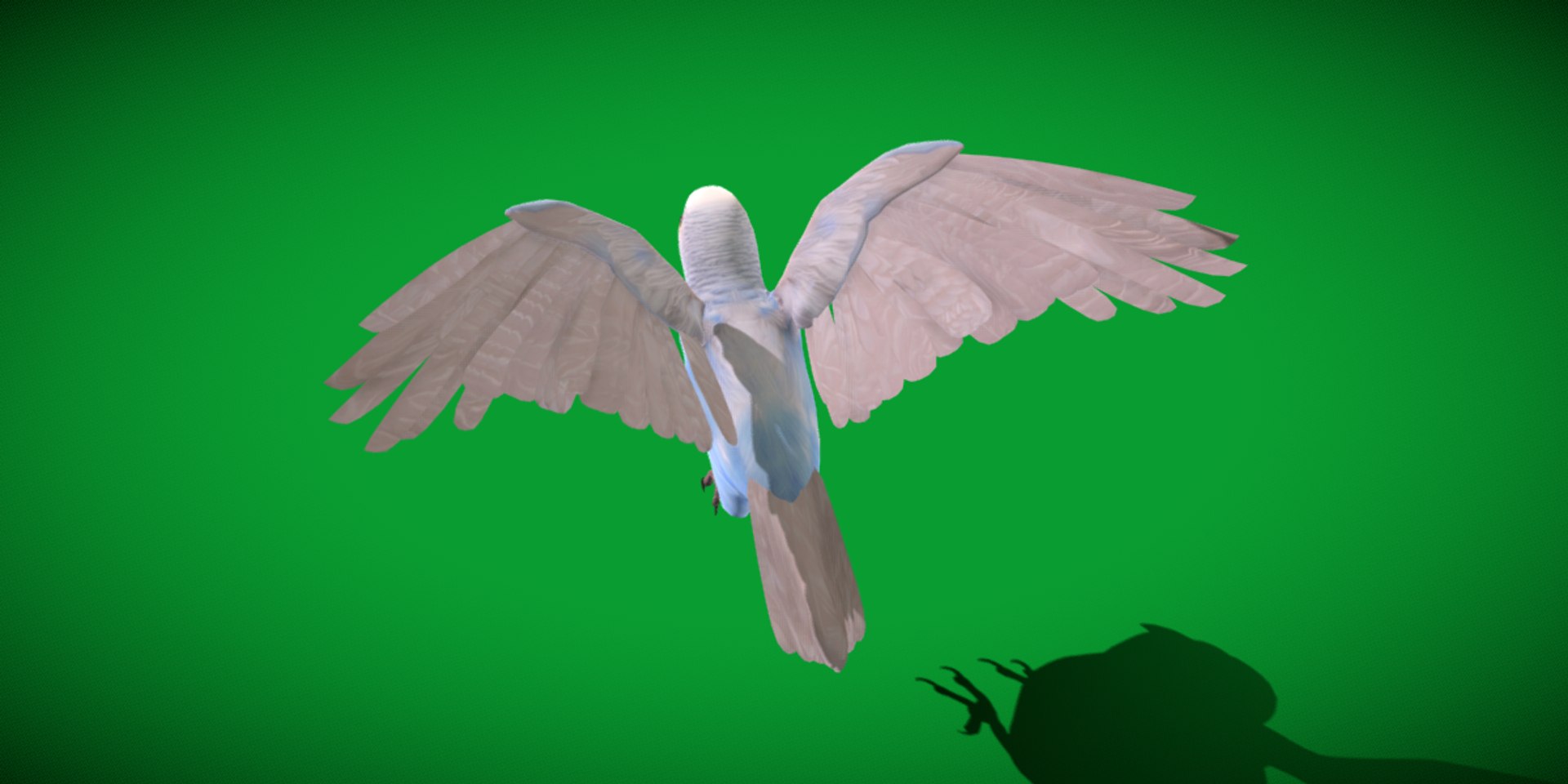 Budgie Parakeet Parrot model https://p.turbosquid.com/ts-thumb/BZ/ySdAO9/v6/budgie6/png/1743721384/1920x1080/fit_q87/cbaace41f98fccfdc680e9fb20e63d683b0253d1/budgie6.jpg