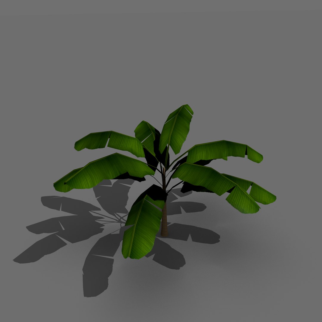 3D Model Banana Tree - TurboSquid 875647