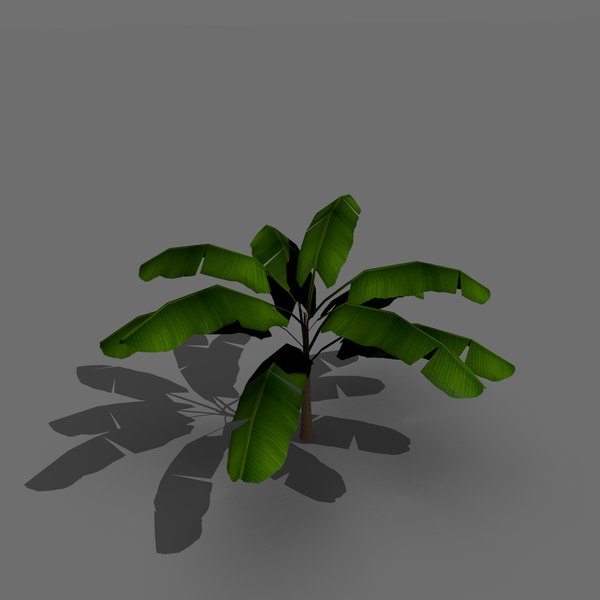 3D OBJ banana tree