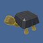 Turtle with a colored shell