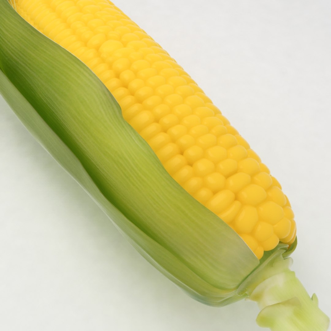 3D sweet corn model https://p.turbosquid.com/ts-thumb/Ba/NLbc8K/RWXysMv7/corn_002/jpg/1491550711/1920x1080/fit_q87/dc70b337d74b99322dd055d1c12172e8f7b356e3/corn_002.jpg
