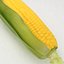 Sweet Corn