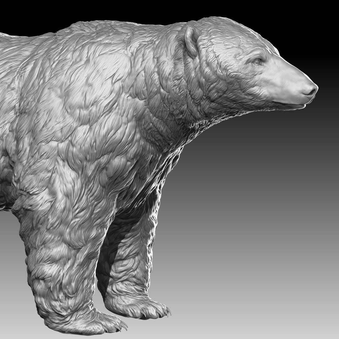 Белый медведь 3д модель