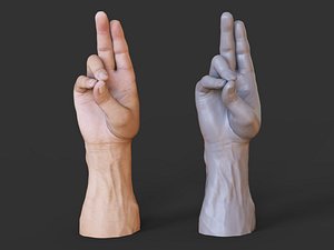 Male Hand Pose 07 3D