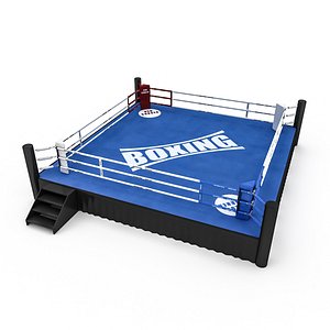 boxing area 2 3D model