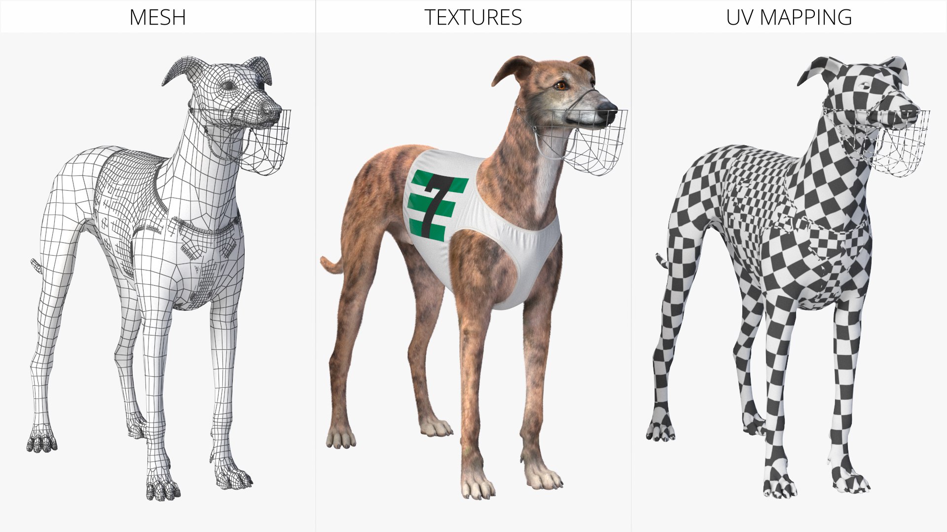 Brindle Greyhound Male with Vest and Muzzle Fur 3D model https://p.turbosquid.com/ts-thumb/Bb/38zukO/HQ/brindle_greyhound_male_with_vest_and_muzzle_fur_007/jpg/1764245985/1920x1080/fit_q87/b6df69ed1a0bab7be7caa3520bc88a23f80fc23e/brindle_greyhound_male_with_vest_and_muzzle_fur_007.jpg