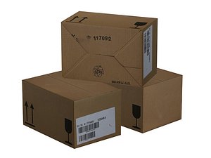 Carton Karton