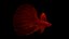 redfish fish 3D