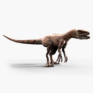 Velociraptor
