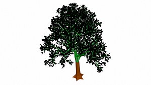 3D Tree
