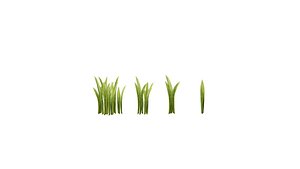 Herb LowPoly