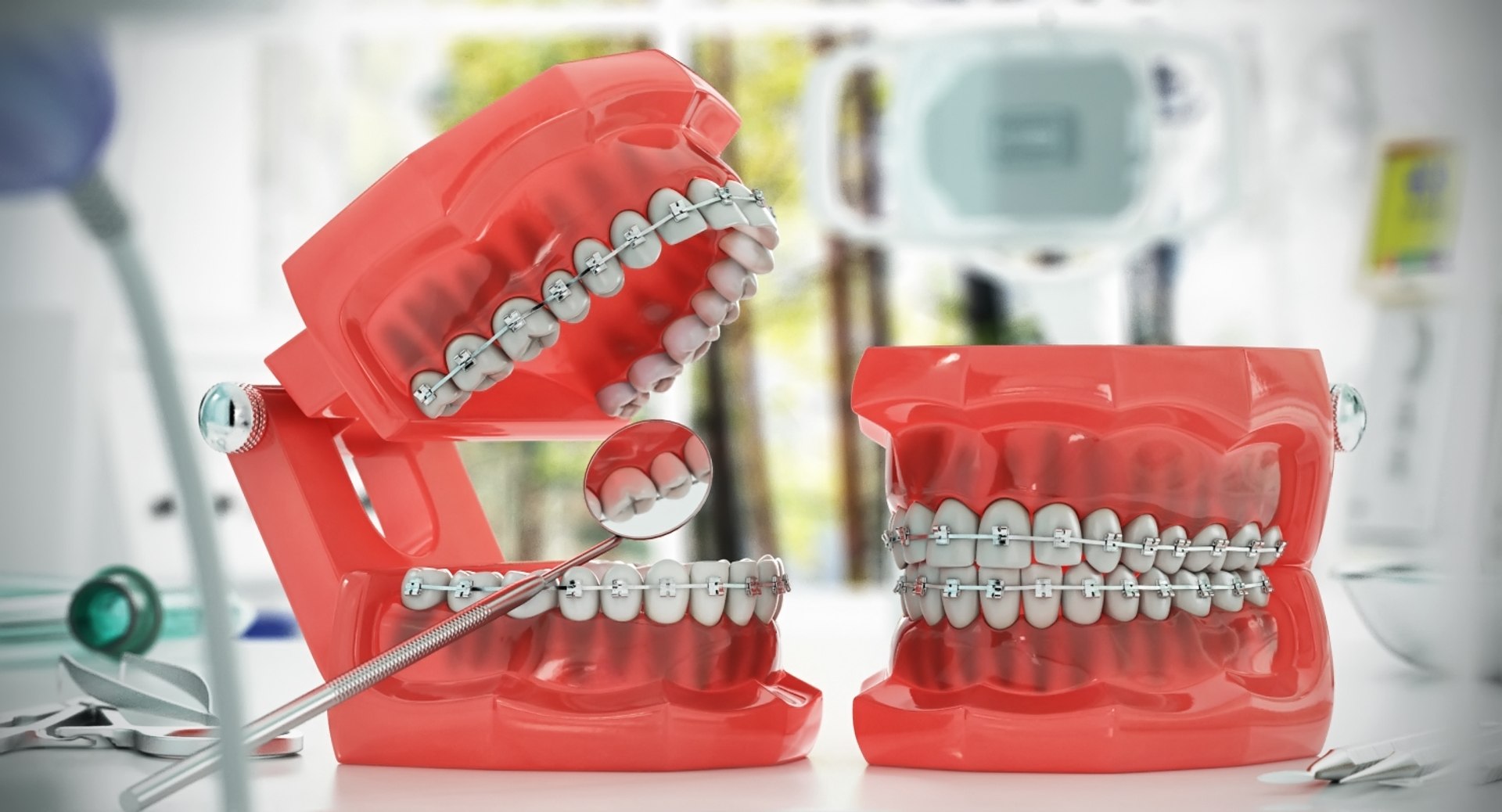 Orthodontic Dental Teeth Model With Metal Brackets And Tubes – Typodont For Teaching/Demonstration