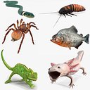 Collezione di animali domestici esotici truccati per Maya