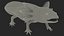 Collezione di animali domestici esotici truccati per Maya