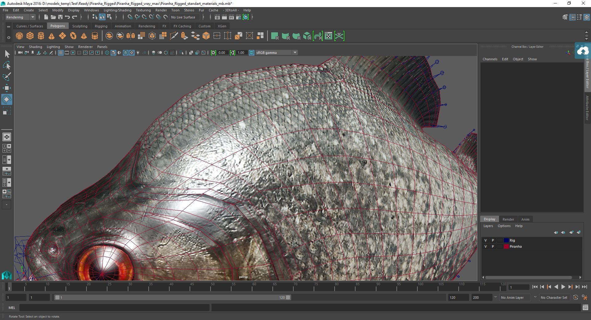 3D Exotic Rigged Pets Collection for Maya https://p.turbosquid.com/ts-thumb/Bb/QRY63j/D9/exotic_rigged_pets_collection_for_maya_060/jpg/1768065137/1920x1080/fit_q87/8bdb63615867f6c78e8f0d3d7df529adcc204b85/exotic_rigged_pets_collection_for_maya_060.jpg