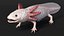 Collezione di animali domestici esotici truccati per Maya