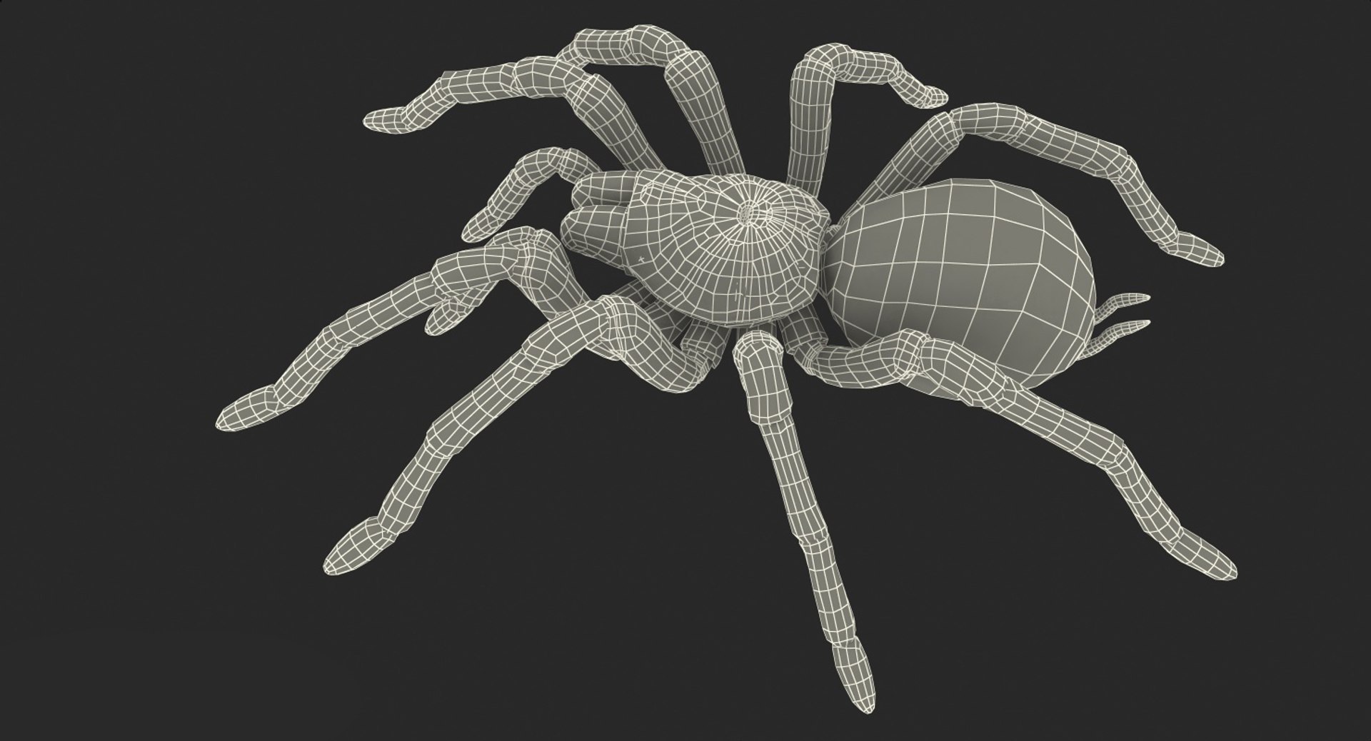 3D Exotic Rigged Pets Collection for Maya https://p.turbosquid.com/ts-thumb/Bb/QRY63j/XU/exotic_rigged_pets_collection_for_maya_034/jpg/1768065124/1920x1080/fit_q87/ead1ccc9cdc7cc602ee8ea1566037cf9e8bc71ed/exotic_rigged_pets_collection_for_maya_034.jpg