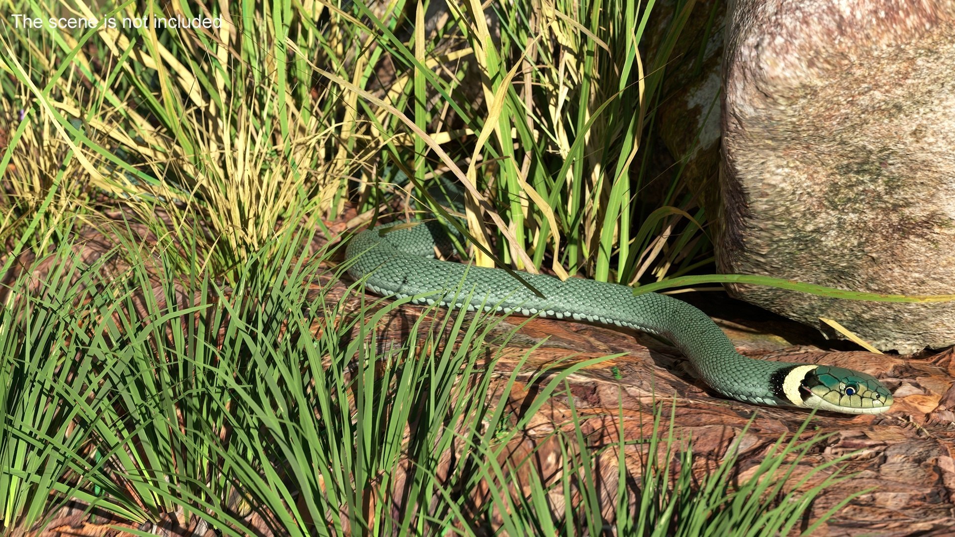 3D Exotic Rigged Pets Collection for Maya https://p.turbosquid.com/ts-thumb/Bb/QRY63j/eL/exotic_rigged_pets_collection_for_maya_012/jpg/1768065112/1920x1080/fit_q87/40b5d89152bbb2774d37c3ff49ba9385f39b06c3/exotic_rigged_pets_collection_for_maya_012.jpg