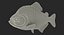 Collezione di animali domestici esotici truccati per Maya
