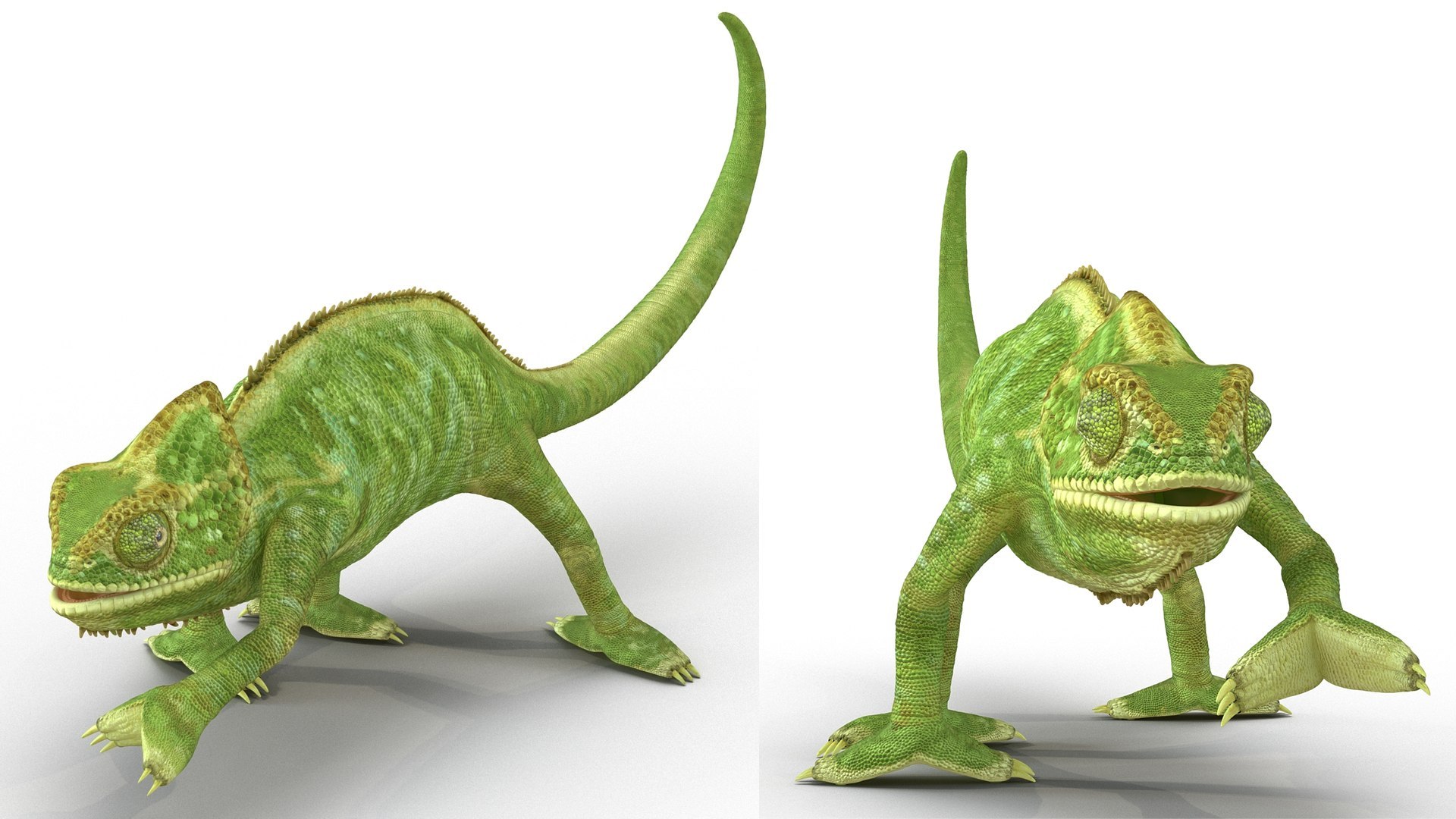 3D Exotic Rigged Pets Collection for Maya https://p.turbosquid.com/ts-thumb/Bb/QRY63j/mO/exotic_rigged_pets_collection_for_maya_030/jpg/1768065121/1920x1080/fit_q87/2873005ad28e6fcd89cbdeb9d997933ab535c5a6/exotic_rigged_pets_collection_for_maya_030.jpg