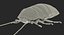 Collezione di animali domestici esotici truccati per Maya