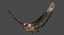 Red-tailed Hawk