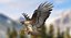 Red-tailed Hawk