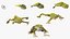 Frog Life Cycle Stages Rigged