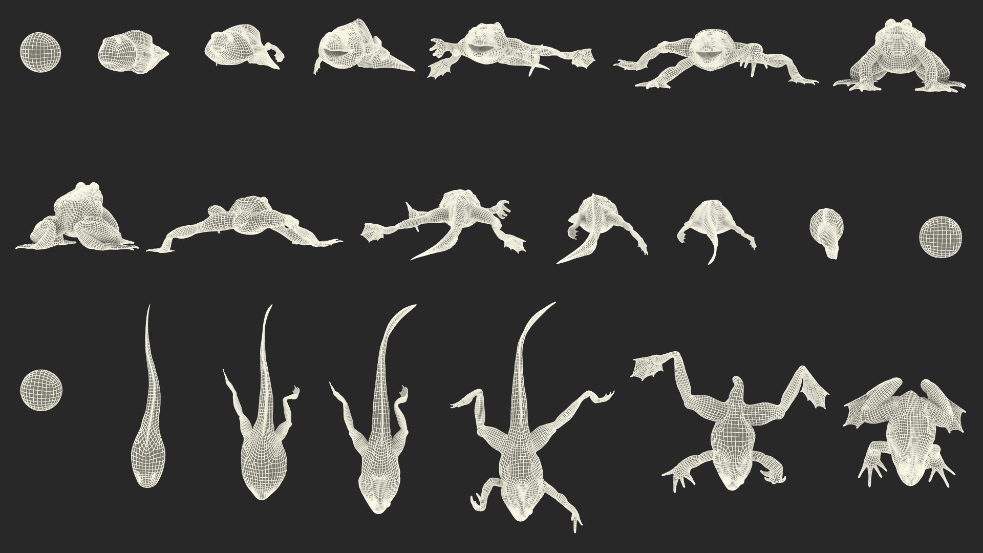 Frog Life Cycle Stages Rigged 3D model https://p.turbosquid.com/ts-thumb/Bb/fmxkNC/Bn/froglifecyclestagesrigged3dsmodel073/jpg/1617398148/1920x1080/fit_q87/22df0114feea28990d2920d7e6bc350b9ffee67a/froglifecyclestagesrigged3dsmodel073.jpg
