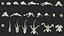 Frog Life Cycle Stages Rigged