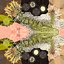 Frog Life Cycle Stages Rigged