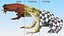 Frog Life Cycle Stages Rigged