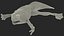 Frog Life Cycle Stages Rigged